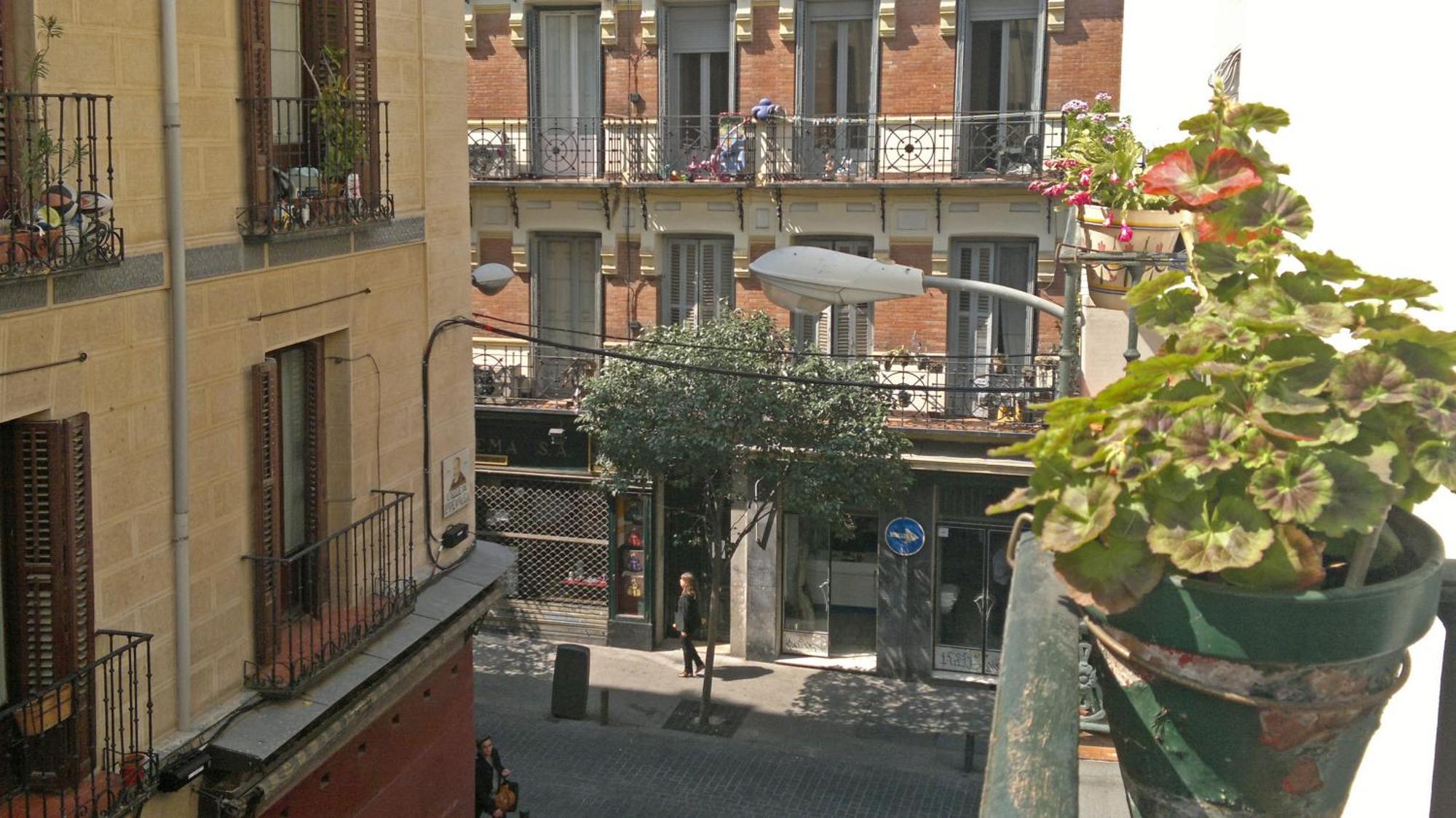 Guest house San Antonio Madrid