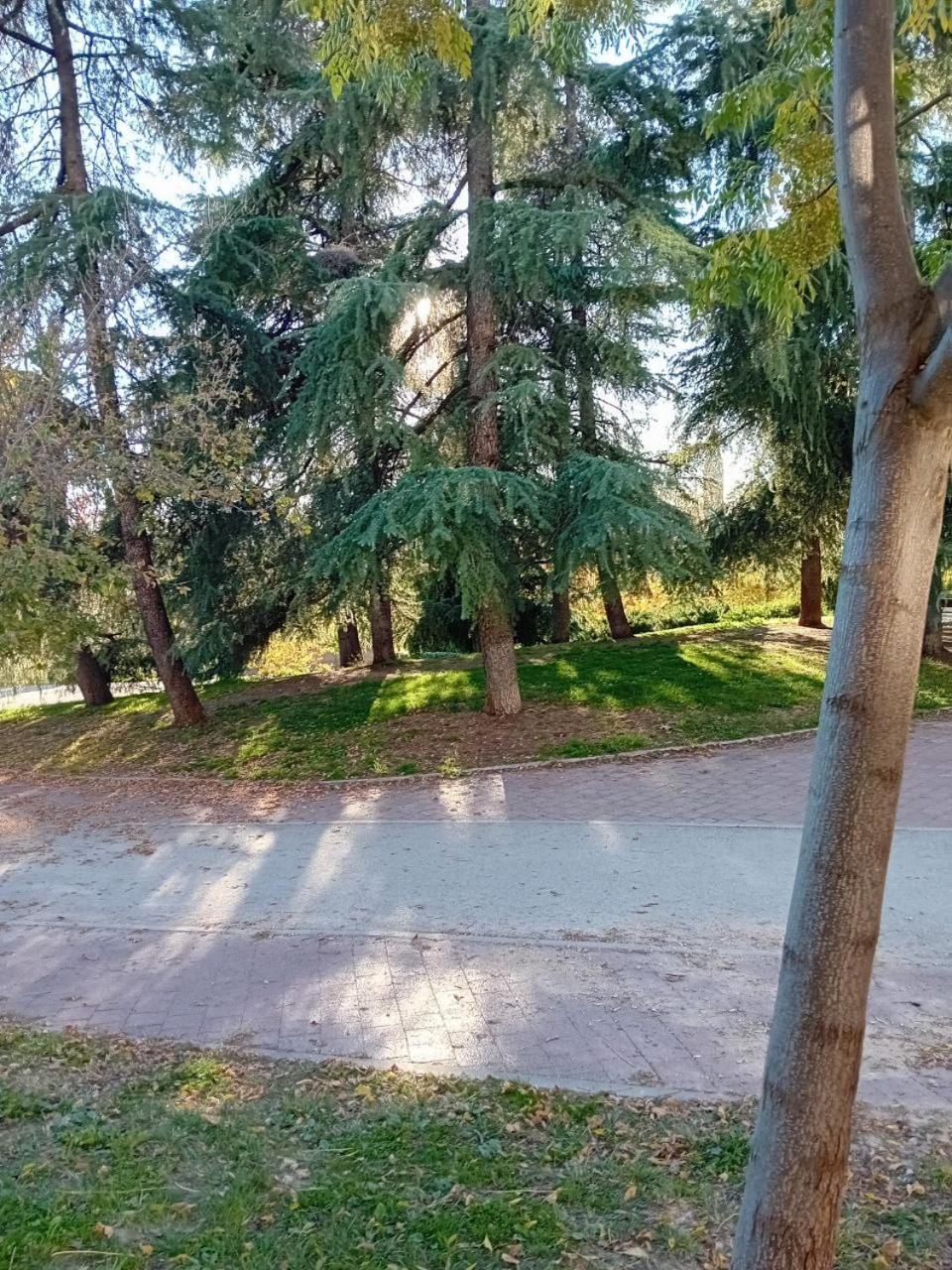 Gasthof Smart Madrid