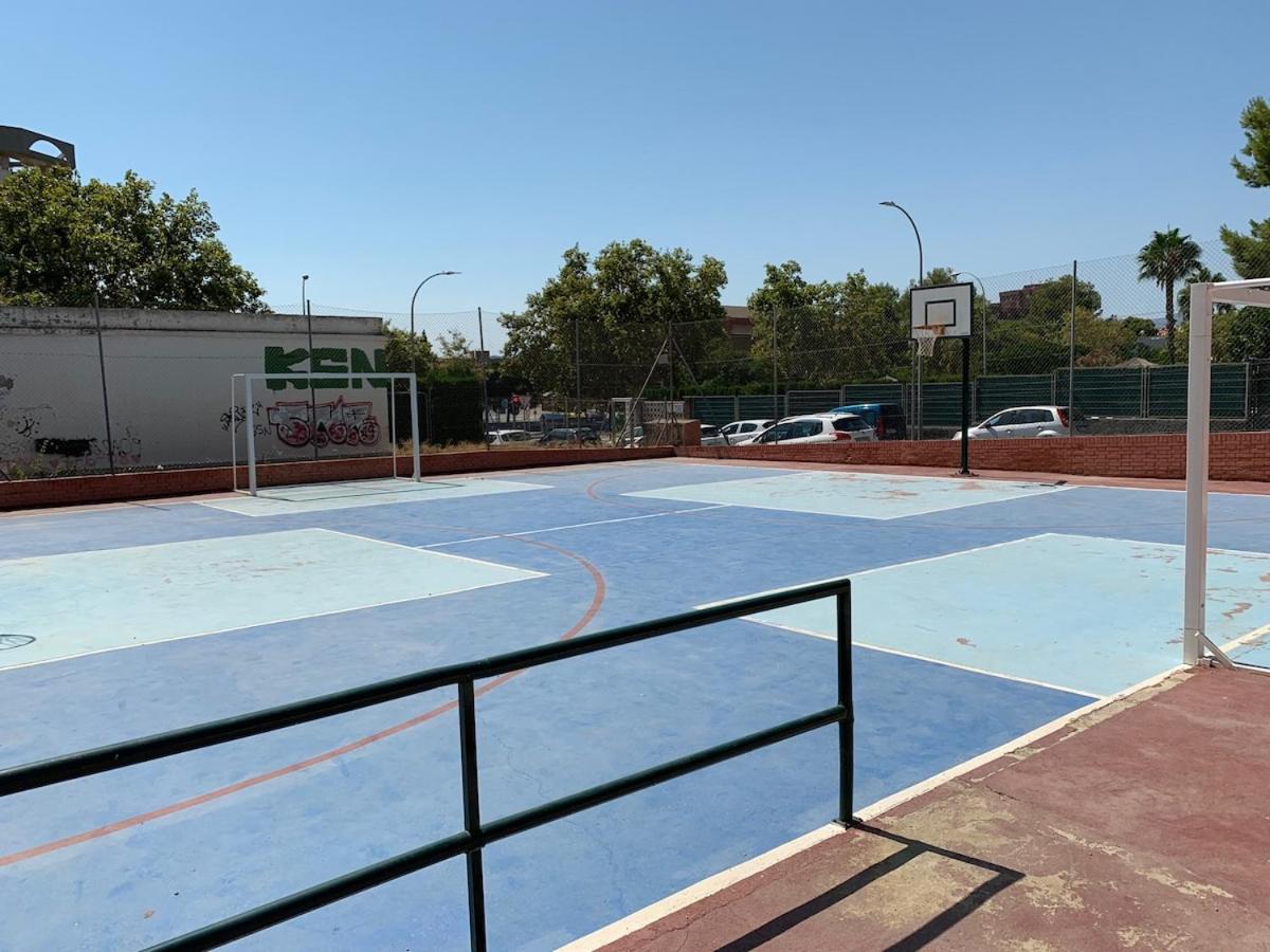 Alquiler Alicante Budahome Apartamento