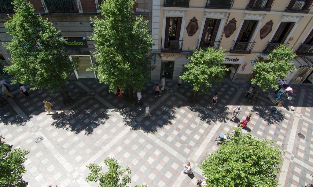 Hotel Petit Palace Arenal Madri