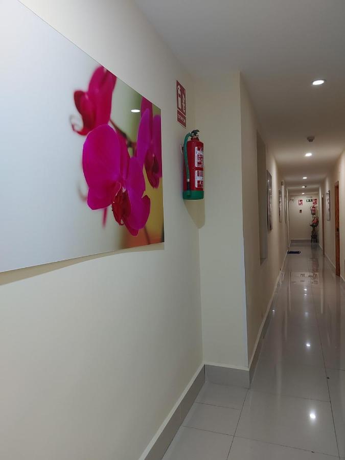 Guest house Moncloa Madrid