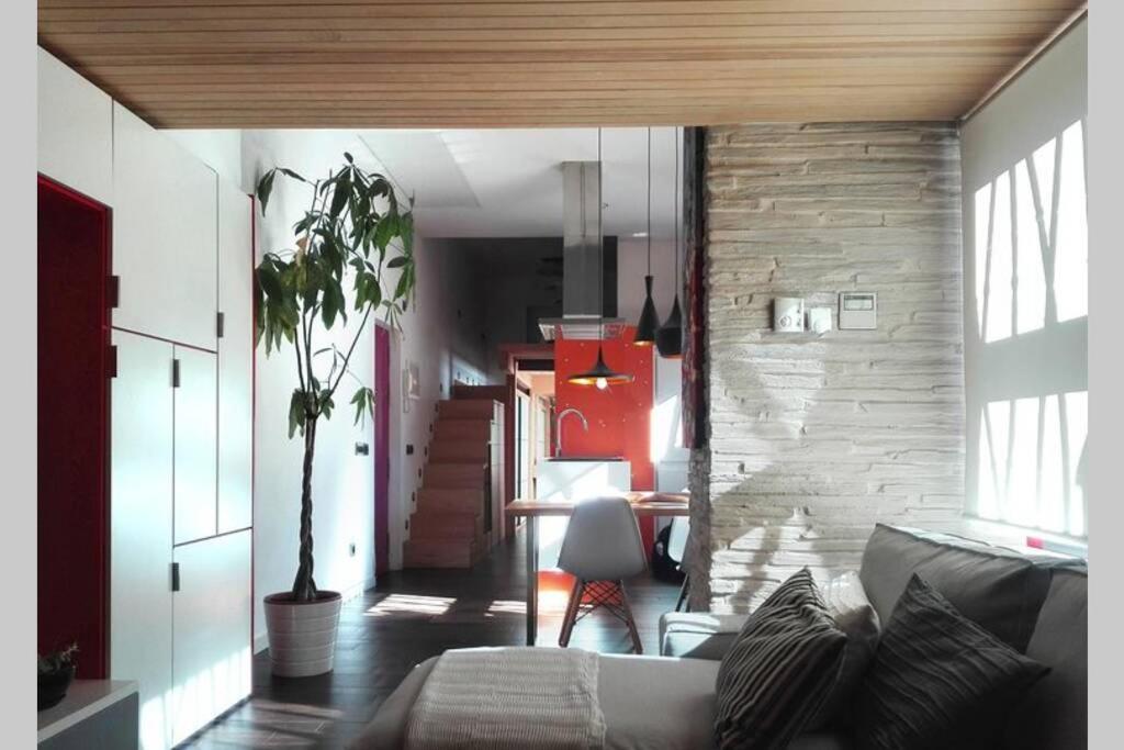 Apartment Cozy Designer Apart / Acogedor Apartamento De Diseno ● Wifi - Jacuzzi - A/c Steamsauna *