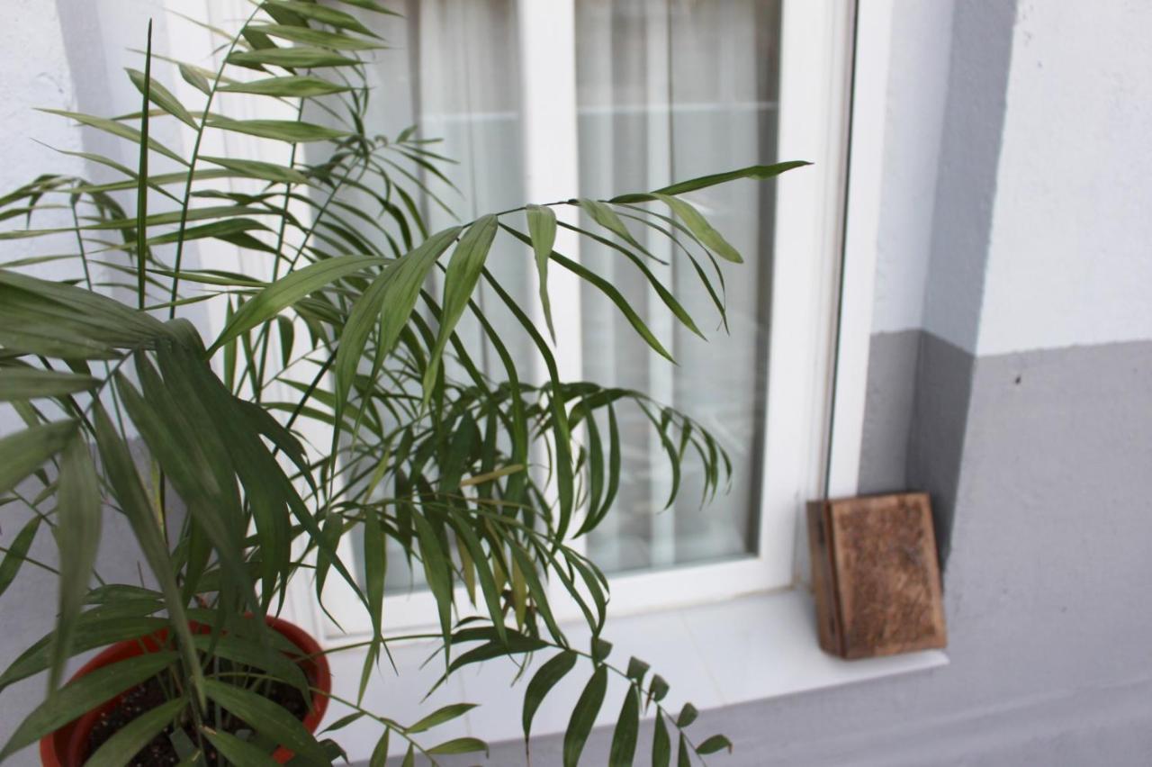 Precioso Apartamento Con Terraza Madrid