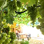Apartment Olivar