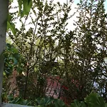 Casa Paraíso