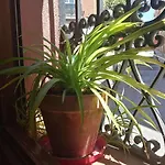 Apartamento Lavapies Al Lado Del Rastro