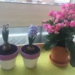 Apartamento Ciudad Lineal Reciente Reforma