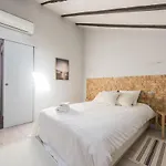 Bohemian 2Bedroom Attic In Lavapies