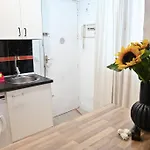 Agradable Apartamento Temporal De 1 Dormitorio En Madrid Pez30