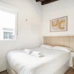 Atico Con Terraza En Lavapies Alquiler Temporal