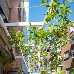 Cute 1 Bedroom Apartment With A Balcony