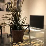 Apartamento En Benito Gutierrez
