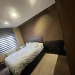 The Artist\'S House