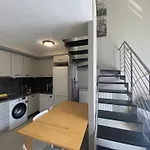 Lujoso Loft La Moraleja