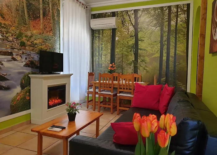Apartamentos Dana Madrid