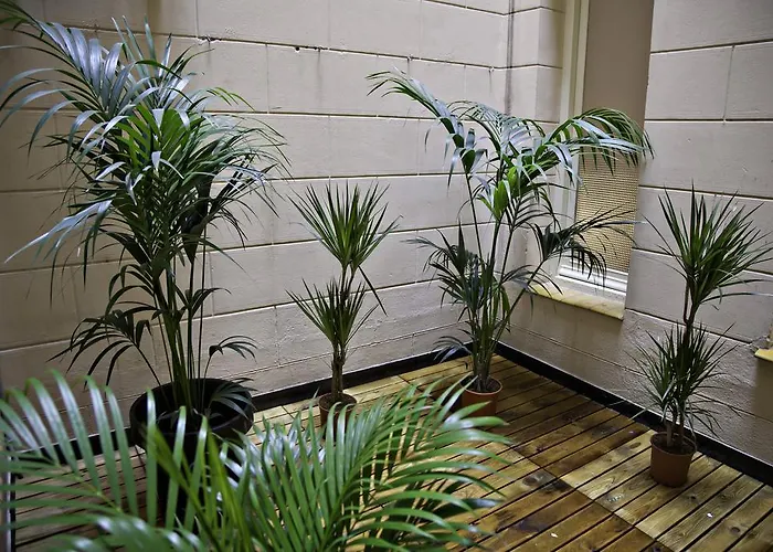 Apartamentos Las Letras By Terravisiontravel
