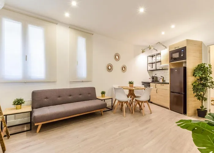 Magnifico Apartamento En Lavapies