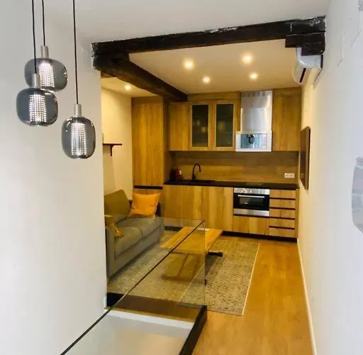 Spectacular Apartment Atocha-Soler