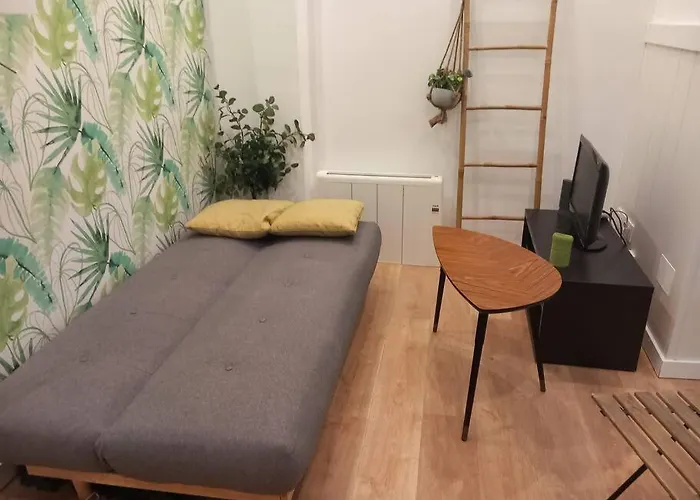 Bonito Estudio En Madrid Centro