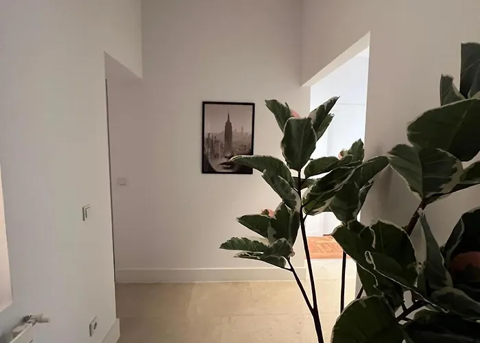Private Rooms In Magdalena Street