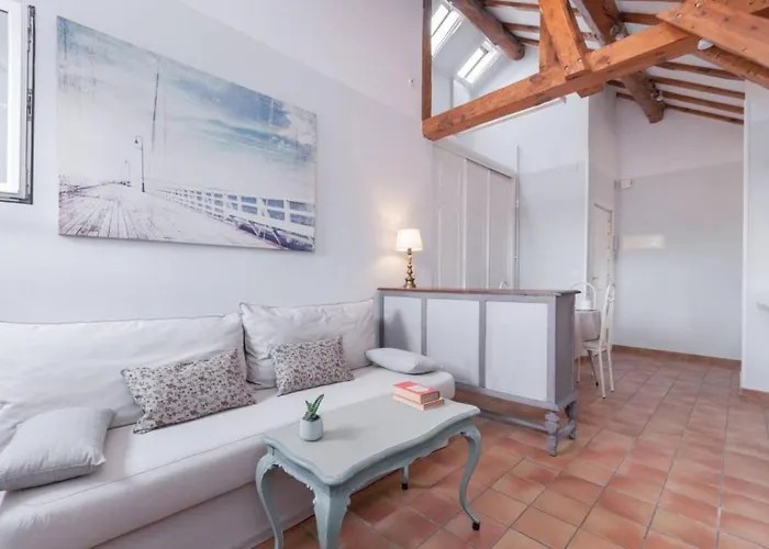 Cozy One-Bedroom Penthhouse La Latina