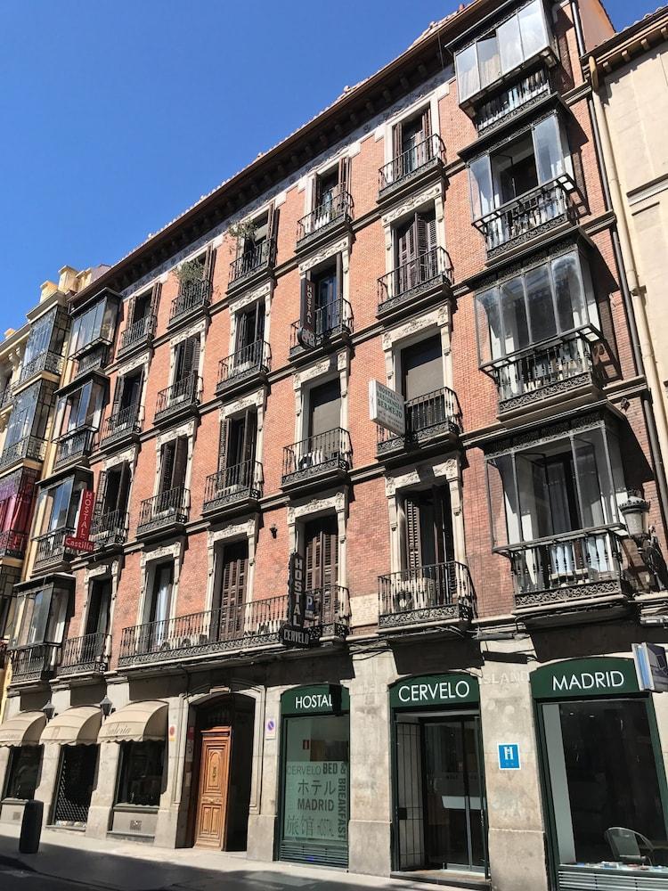 Casa de hóspedes Cervelo Madri