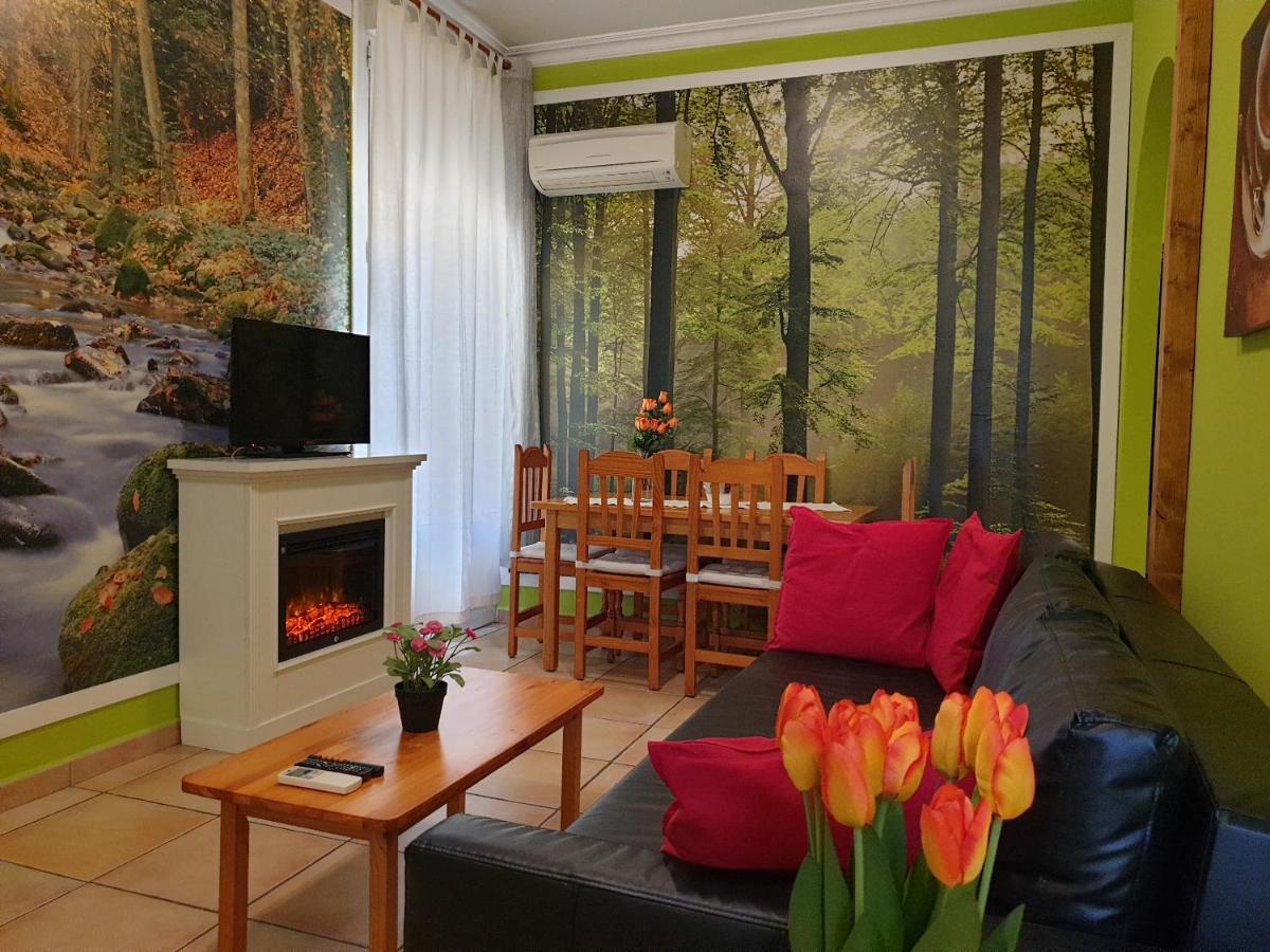 Apartamento Dana *