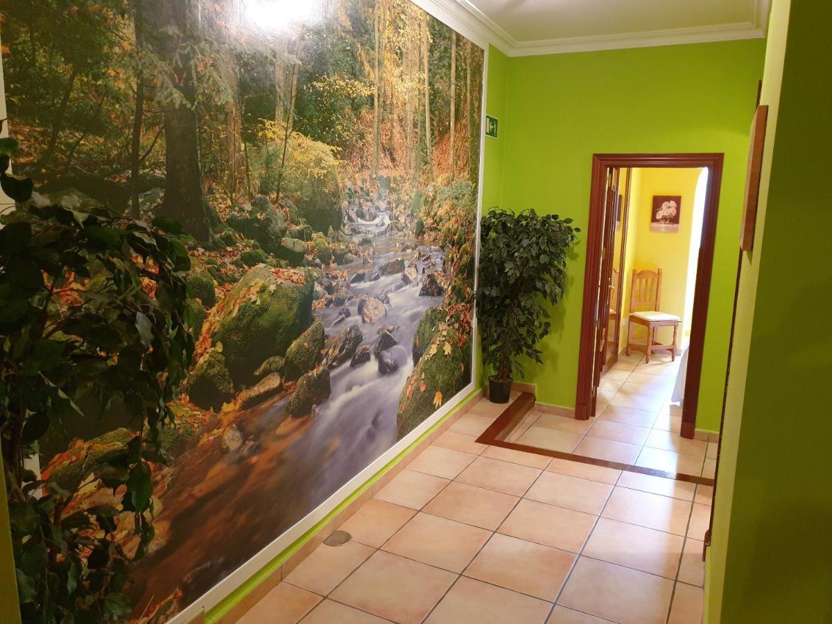 Dana Apartamento