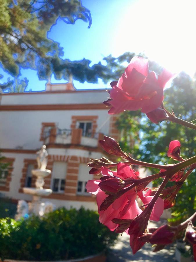 Olivos *