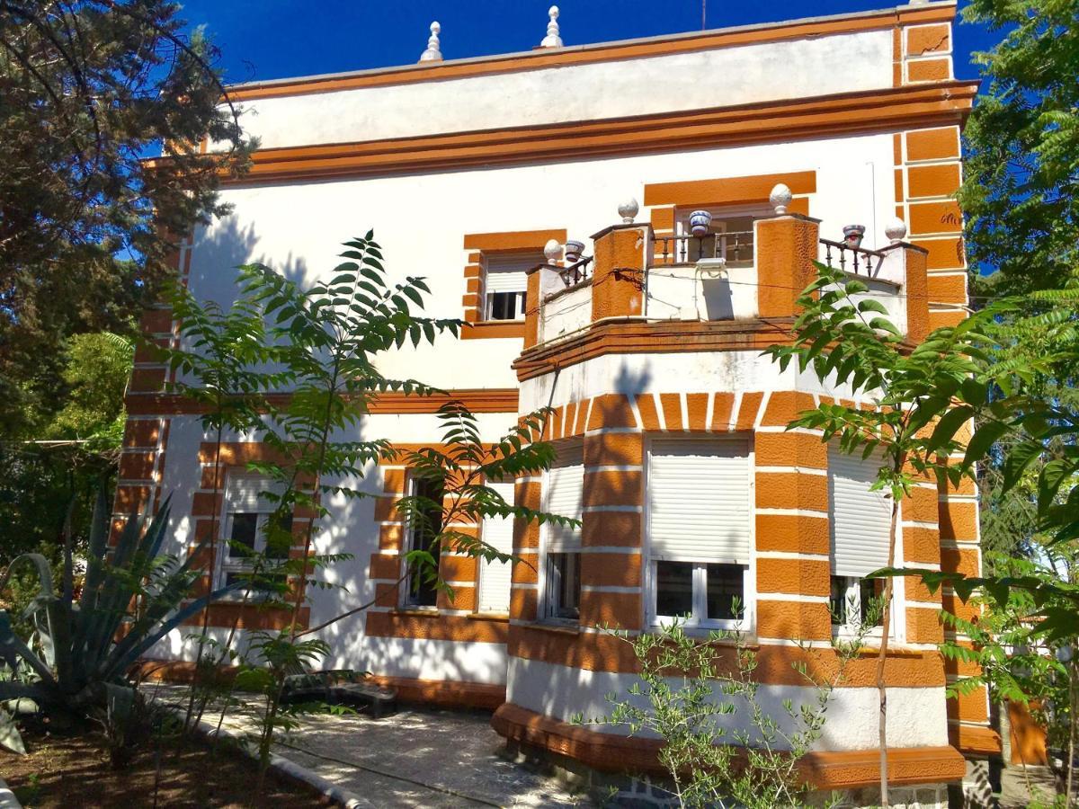 Olivos Madrid