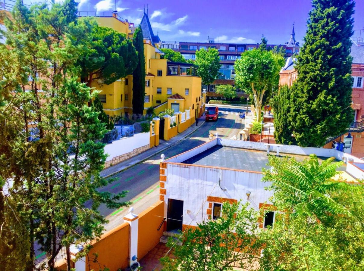 Olivos Madrid