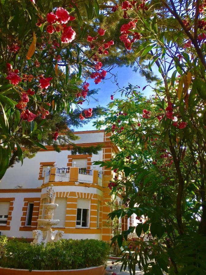 Olivos *
