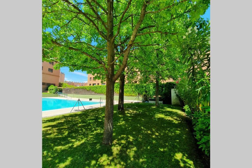 Precioso Estudio Conde Orgaz Apartment