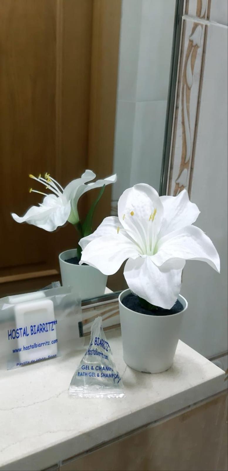Guest house Biarritz 2*