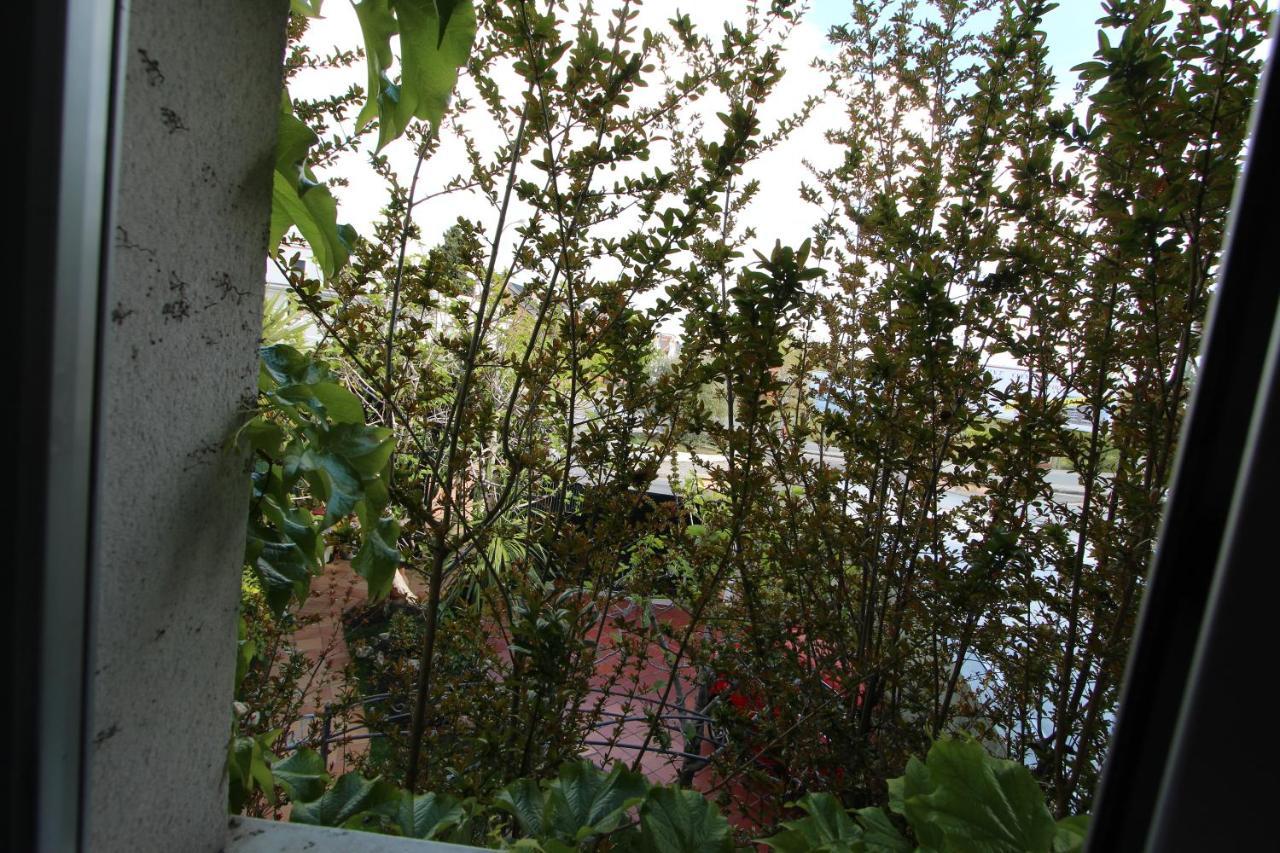 Paraiso Coliving