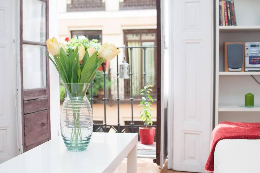 Estudio Magdalena, Pleno Centro De Madrid