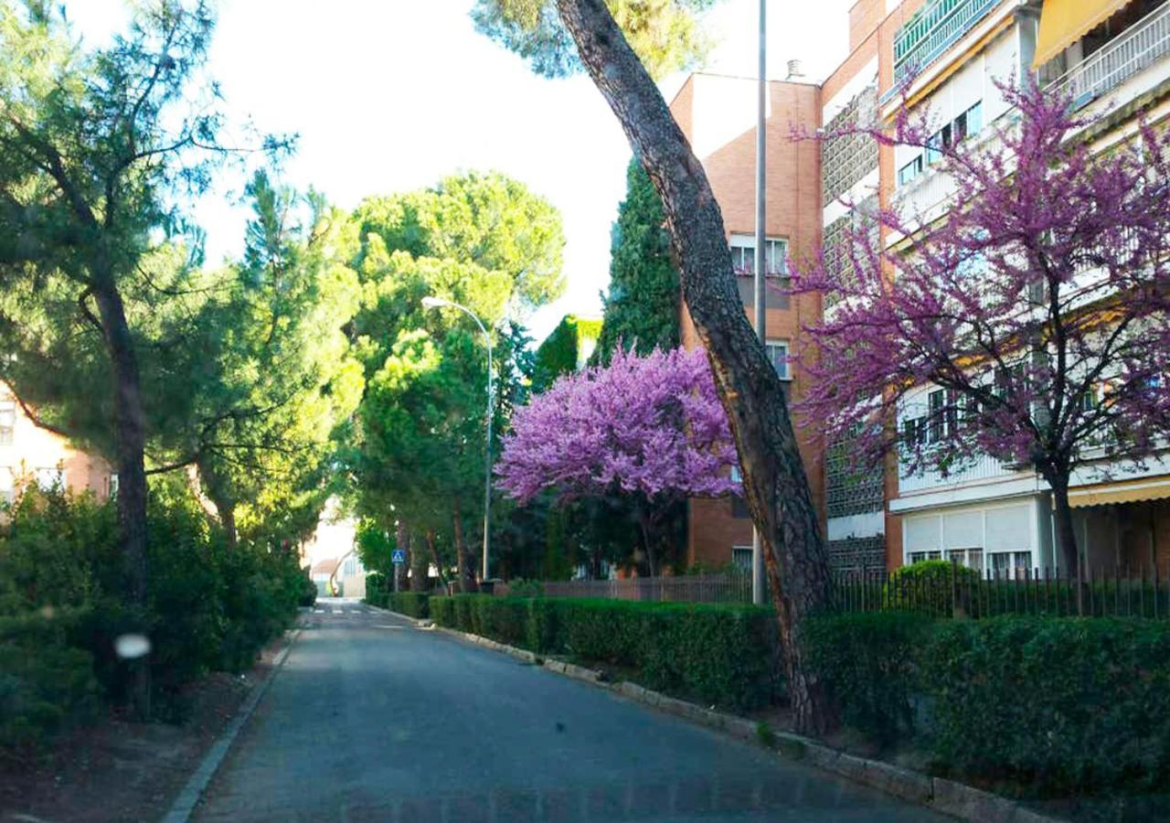 Casa Sara Privatunterkunft *