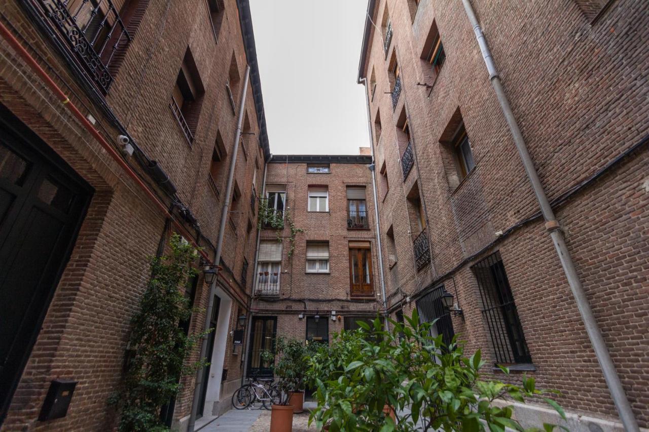 Dobo Homes Zurbano