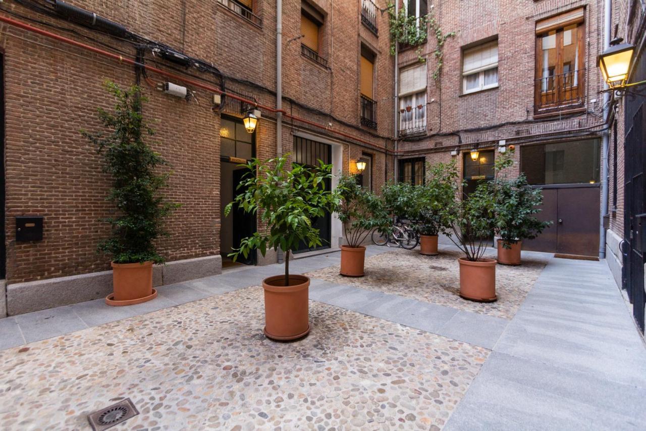 Dobo Homes Zurbano