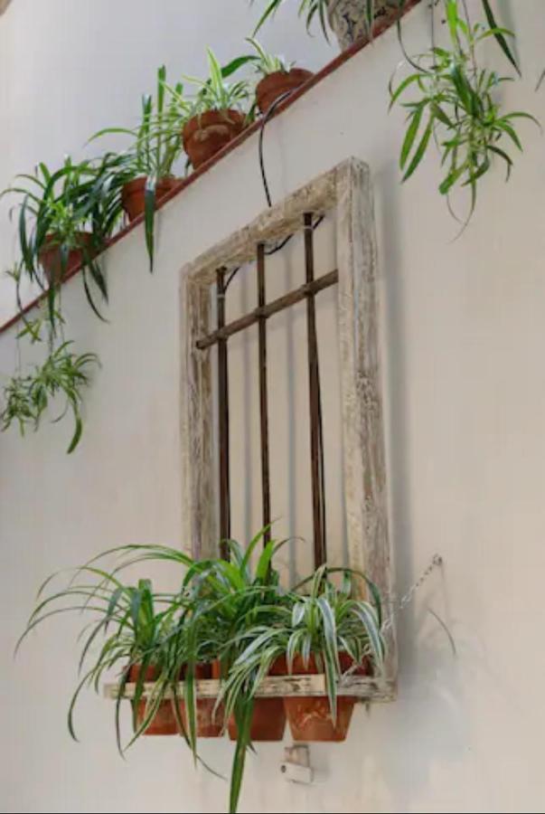 Beautiful & Cozy In The Heart Of Apartamento Madri