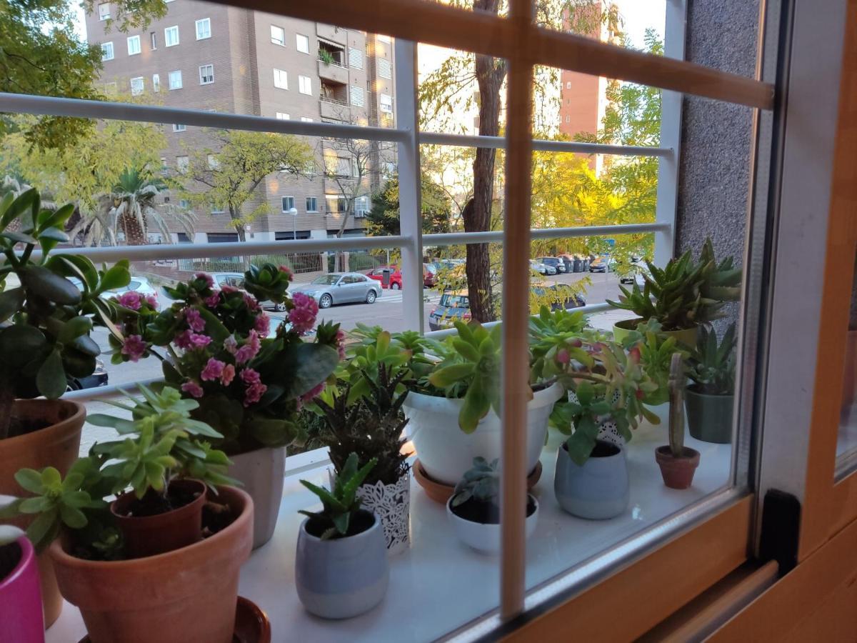 El Pozo-villalobos Apartamento Madrid