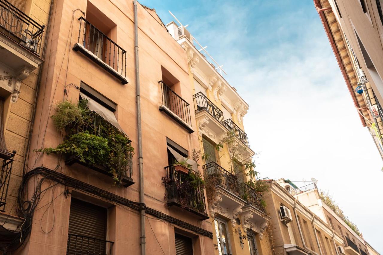 Minty - Andres Borrego Apartment *