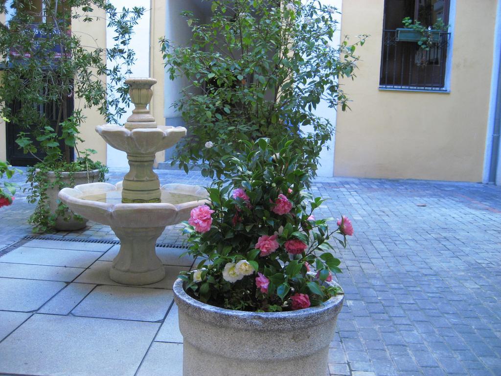 Huespedes Toledo Guest house *