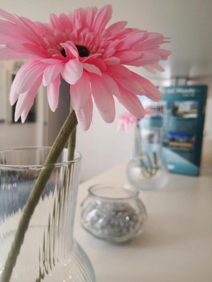 Apartamento Rosa Puerta Del Sol *