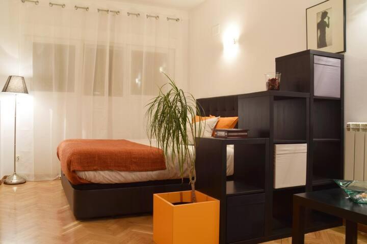 Estudio Acogedor Y Luminoso Lejlighed Madrid