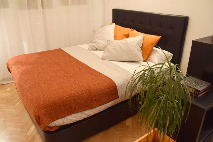 Estudio Acogedor Y Luminoso Lejlighed