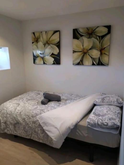 Hospedagem domiciliar En El Centro De