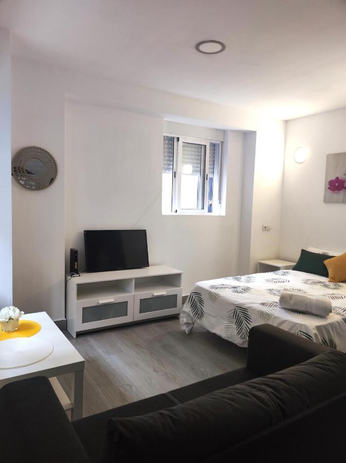 Lofts Arenal Lejlighed