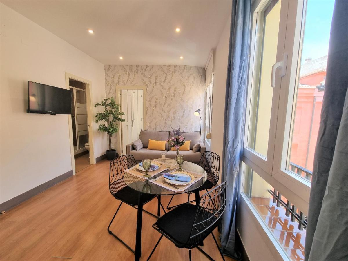 Molina - La Latina Apartment Madrid