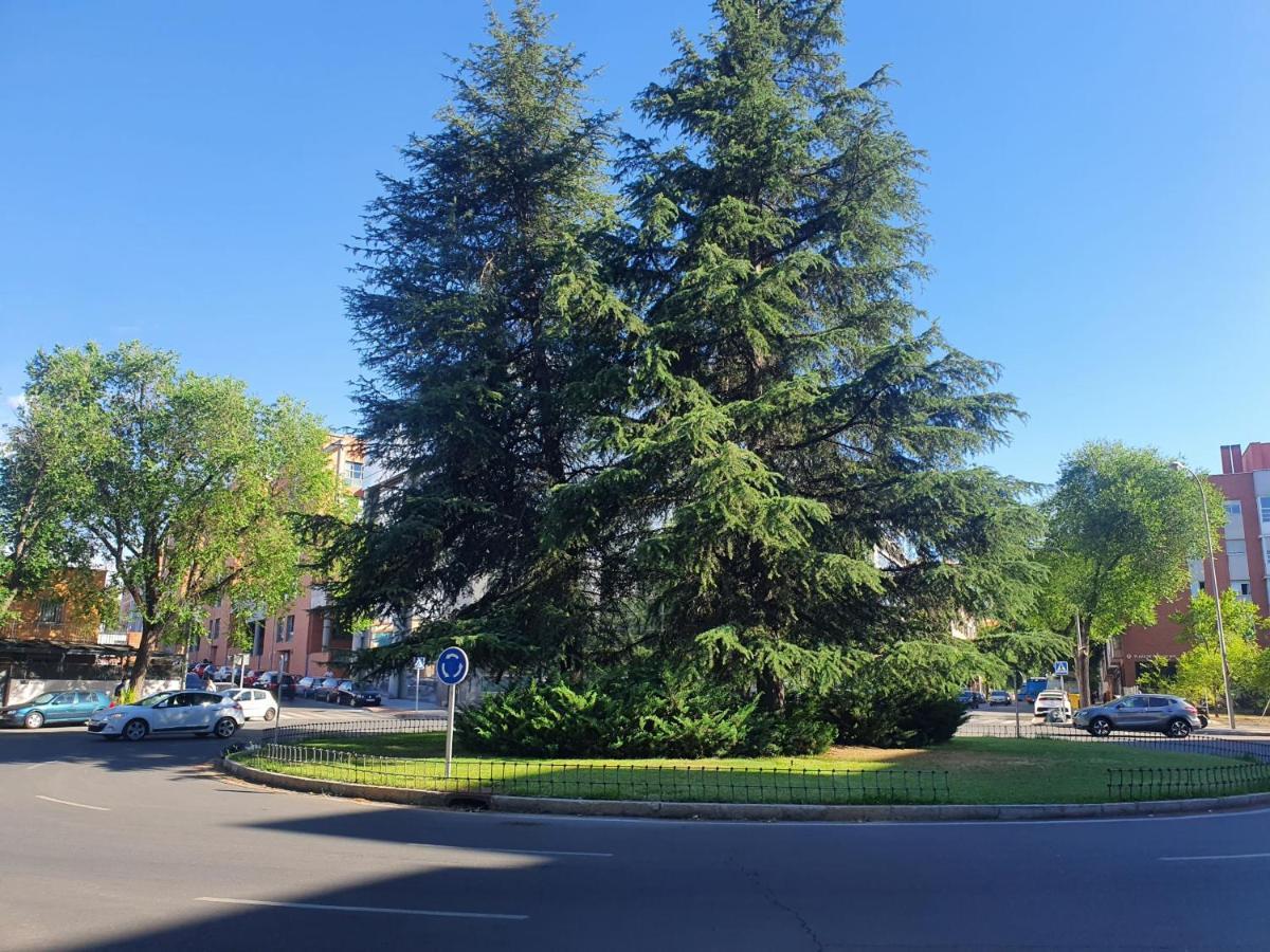 Duplex 2 Plantas - C Alcala-ifema-ventas- Jardin & Parking Privados- Boutique Wh Apartment *